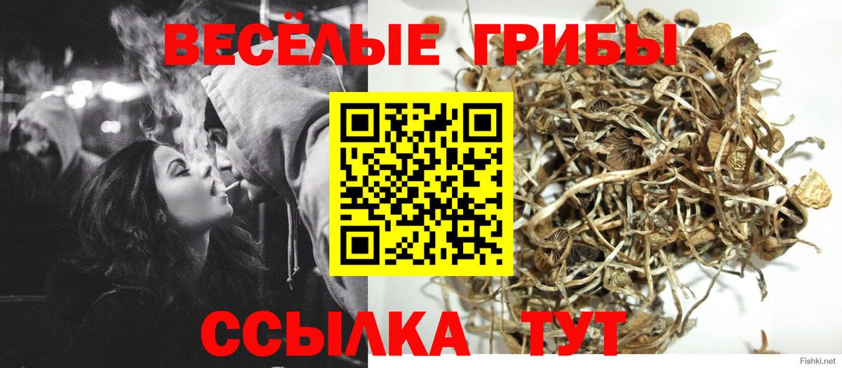 БУТИРАТ Чехов