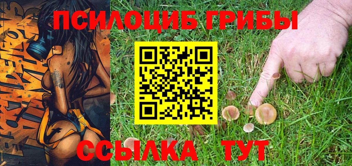 Псилоцибиновые грибы мицелий Чехов